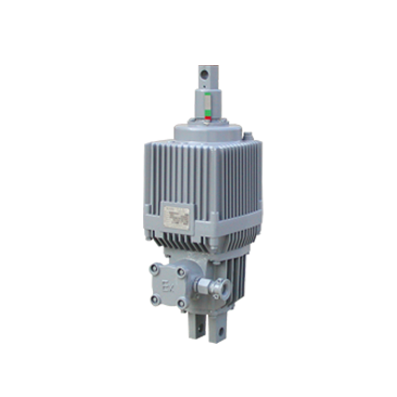 Ed and BEd series explosion-proof electric hydraulic thrusters
